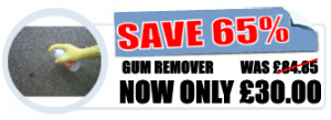 Holloway Chewing Gum Remover

The scientific way to remove a difficult substance
